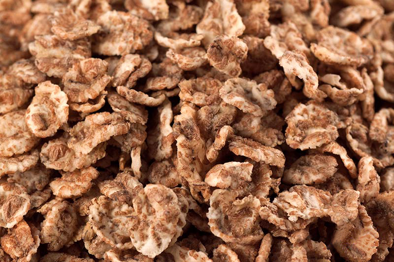 Toasted & Malted Wheat Flakes, Organic 20kg (Bulk)